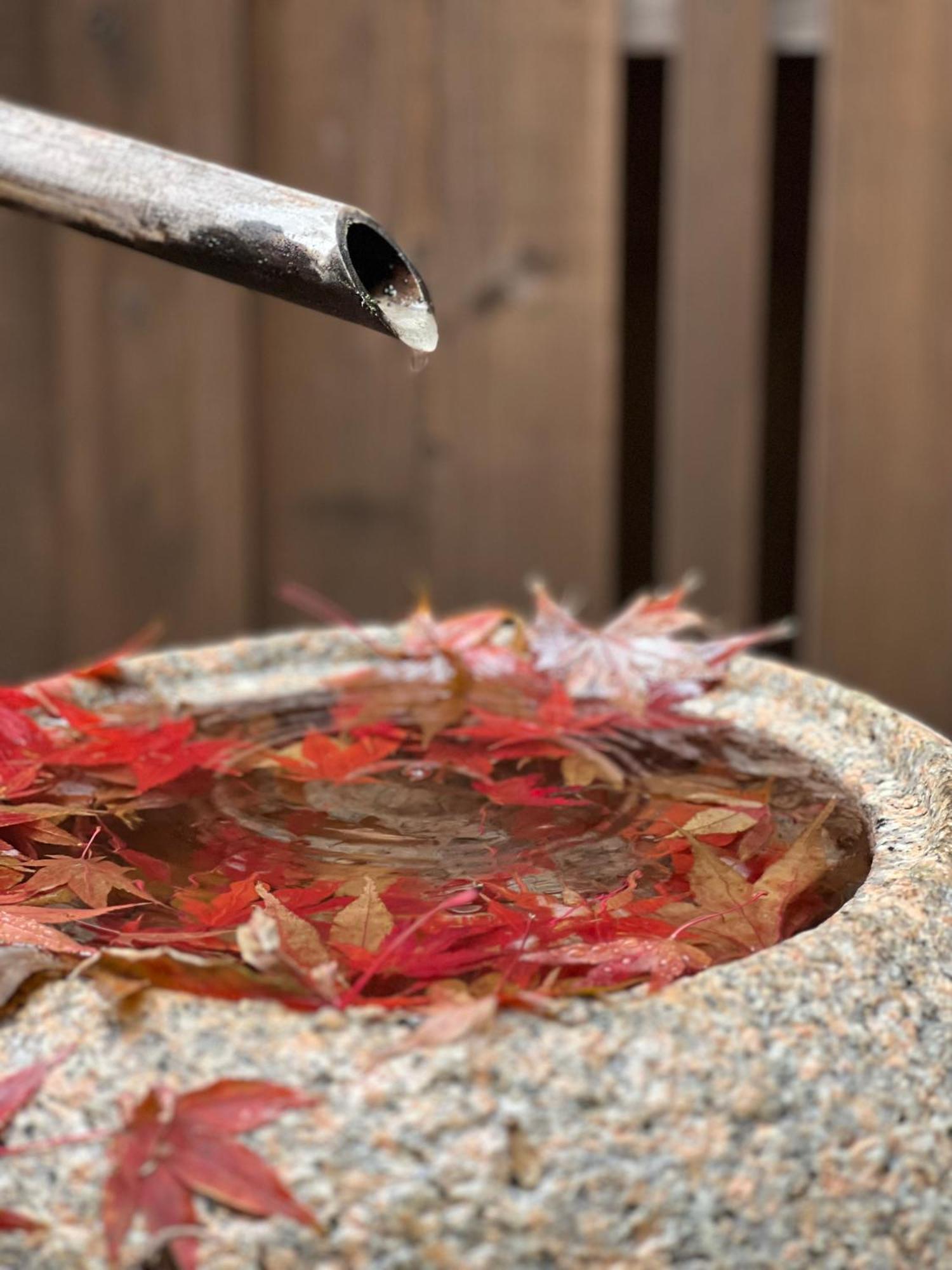 Imakumano Terrace - Dohachi An 道八庵 Villa Kyoto Bagian luar foto
